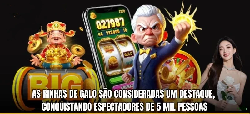 Suporte VIP rr66 - atendimento prioritário
